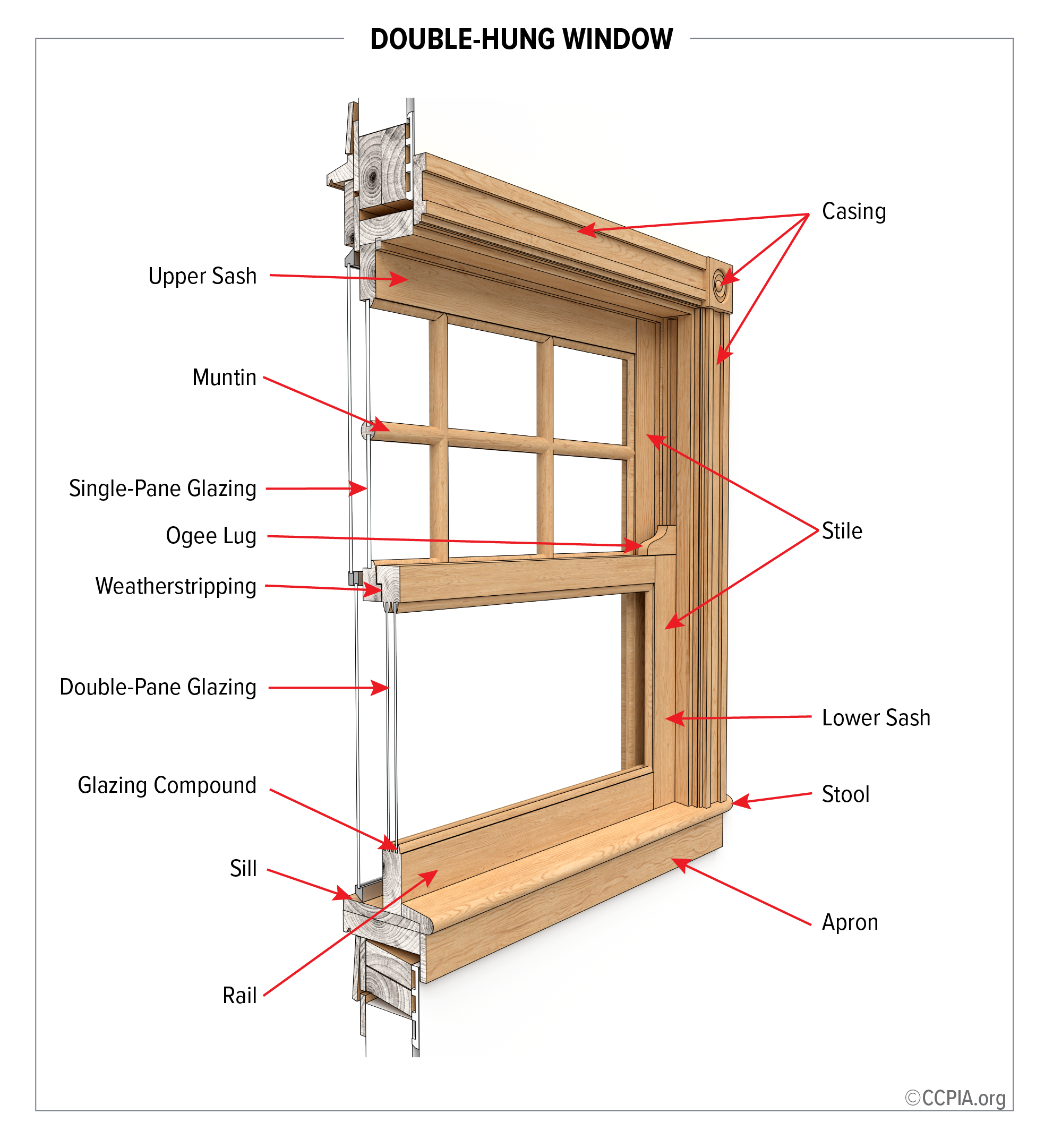 Double-Hung Window - Inspection Gallery - InterNACHI®