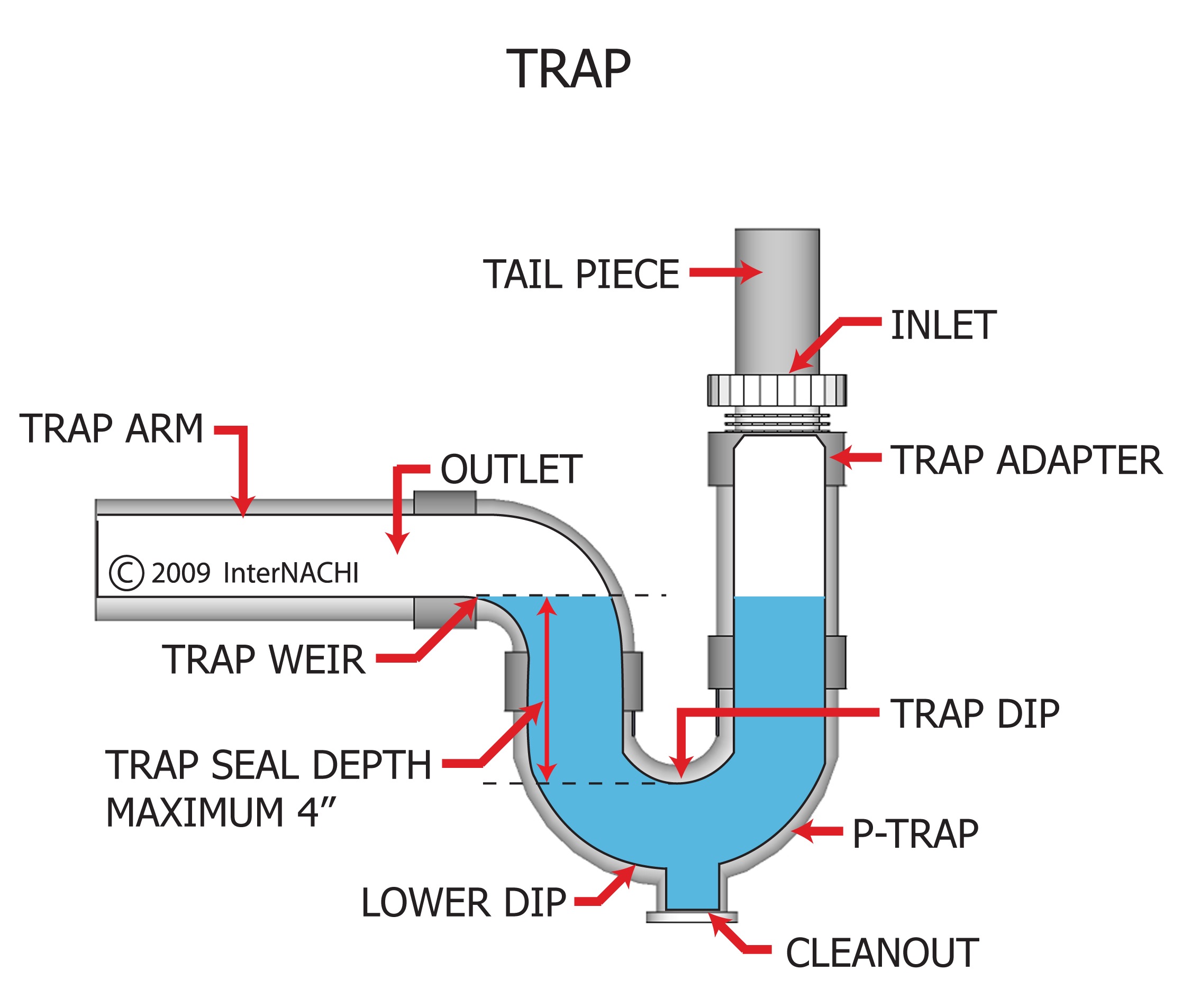 Trap Inspection Gallery InterNACHI®