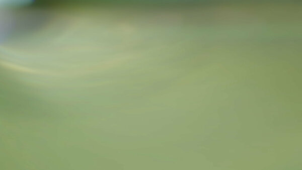 Cinematic Lens Flares  Dissolve 19 vfx asset stock footage