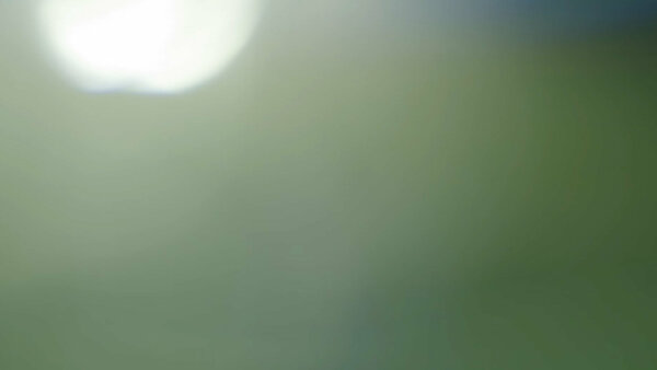 Dissolve: Lens Flare Transitions Dissolve 36 vfx asset stock footage