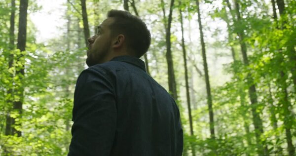 Man Wandering in Woods Clip 1 vfx asset stock footage