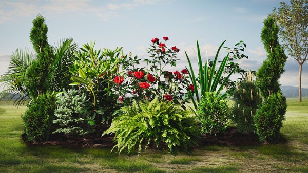 Plants & Foliage