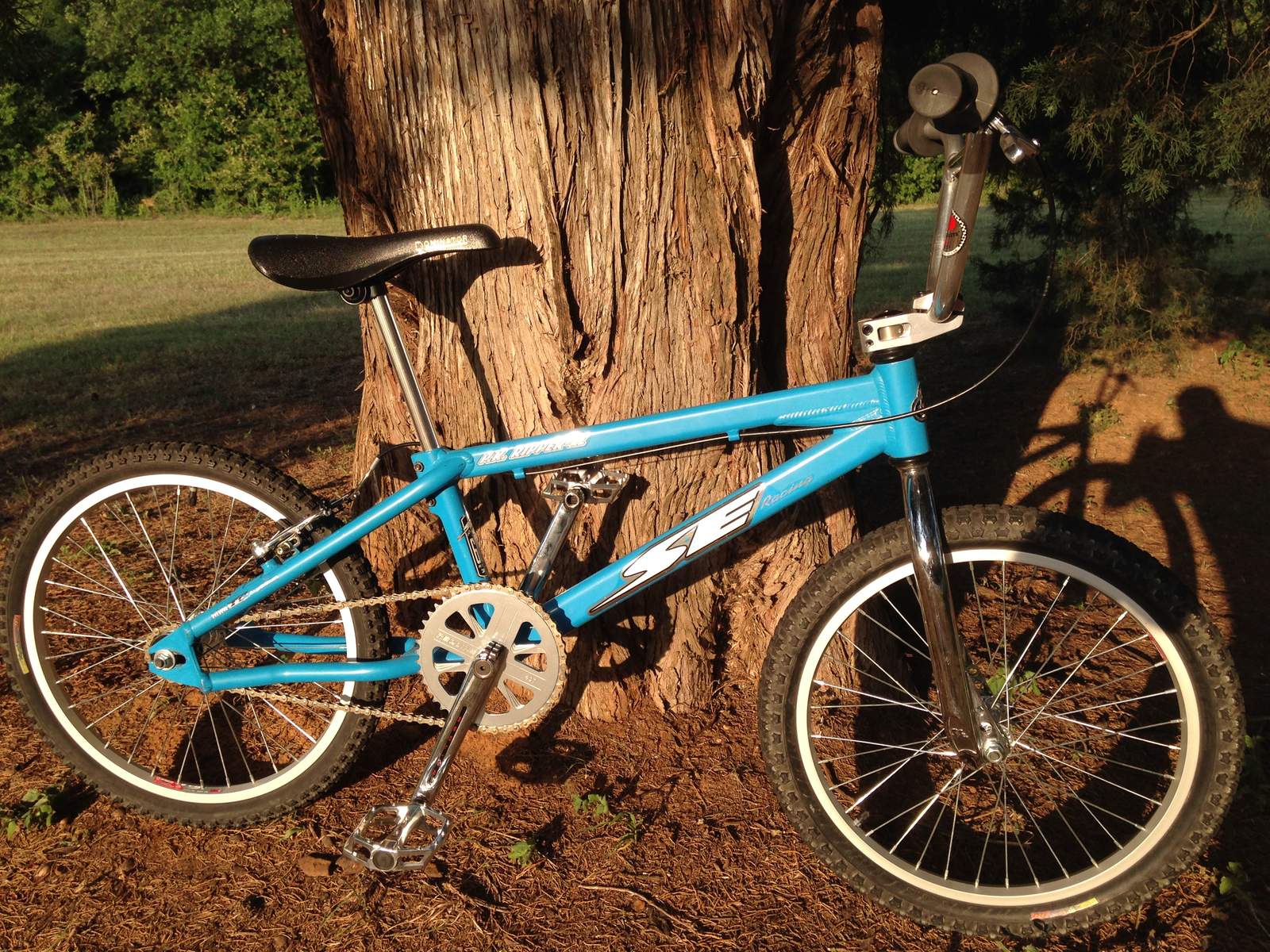 THE OFFICIAL 2018 BMX MUSEUM SPRING BO COMPLETED THREAD RACE