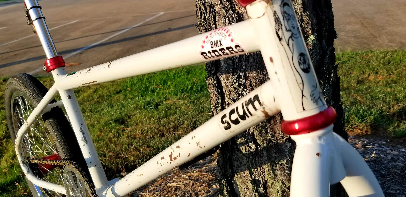 My new bar hopper Forums