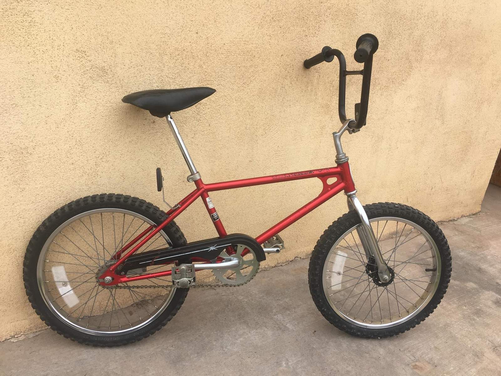 24 coaster brake bike