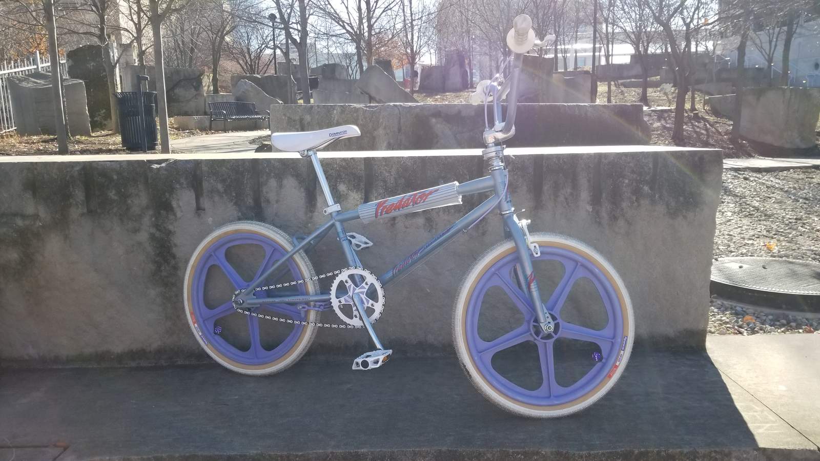 schwinn predator 2019