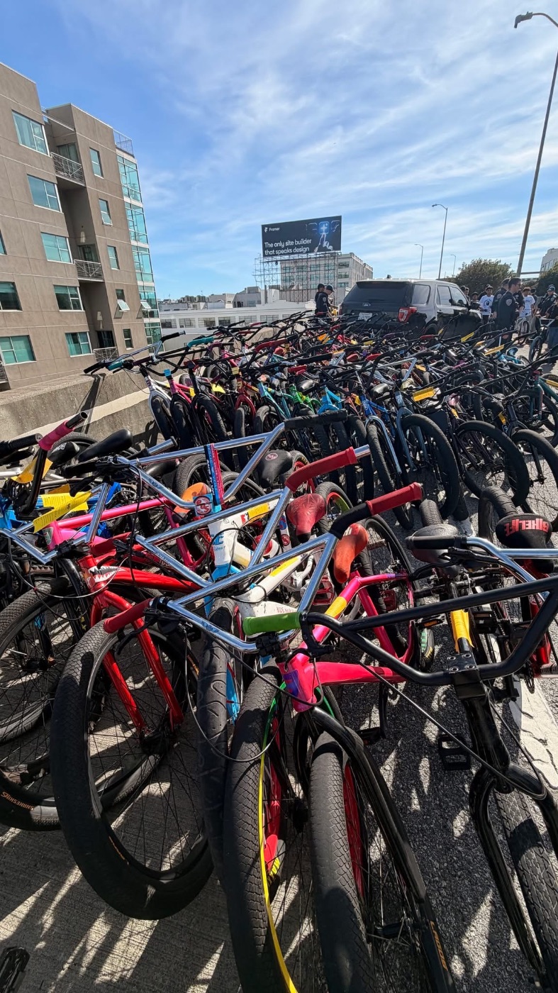 Just when you thought SE couldn't get more ridiculous. - BMXmuseum.com ...