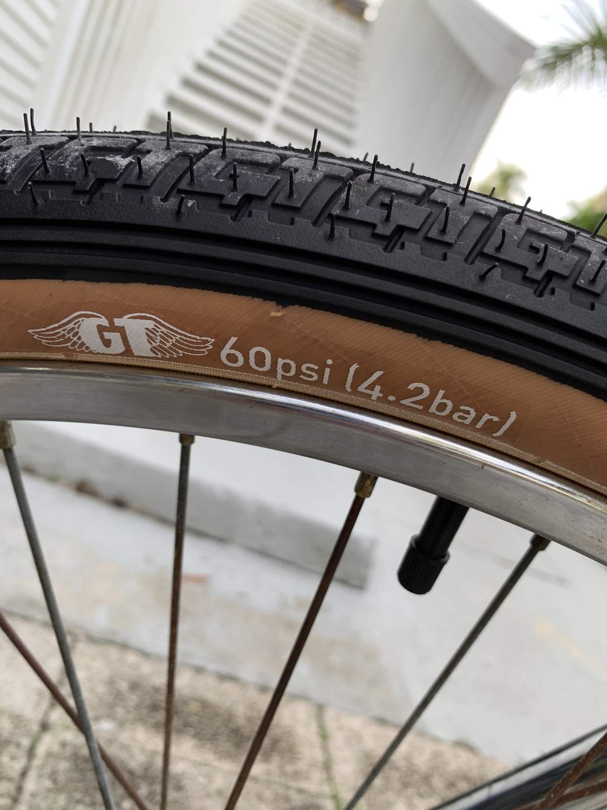 GT LP5 Heritage Tires Forums