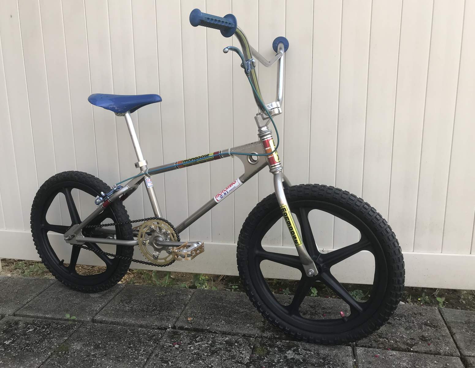 ebay mongoose