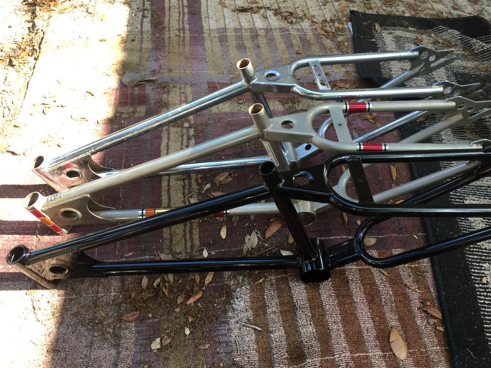 Three gusset mongoose's Forums