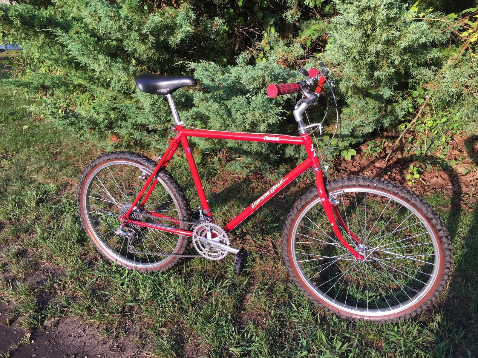 80's Diamondback Ascent Mountain Bike For Sale Forums