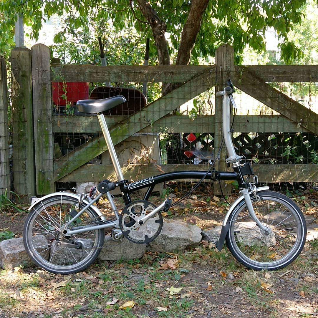 Folding bike thesis picture