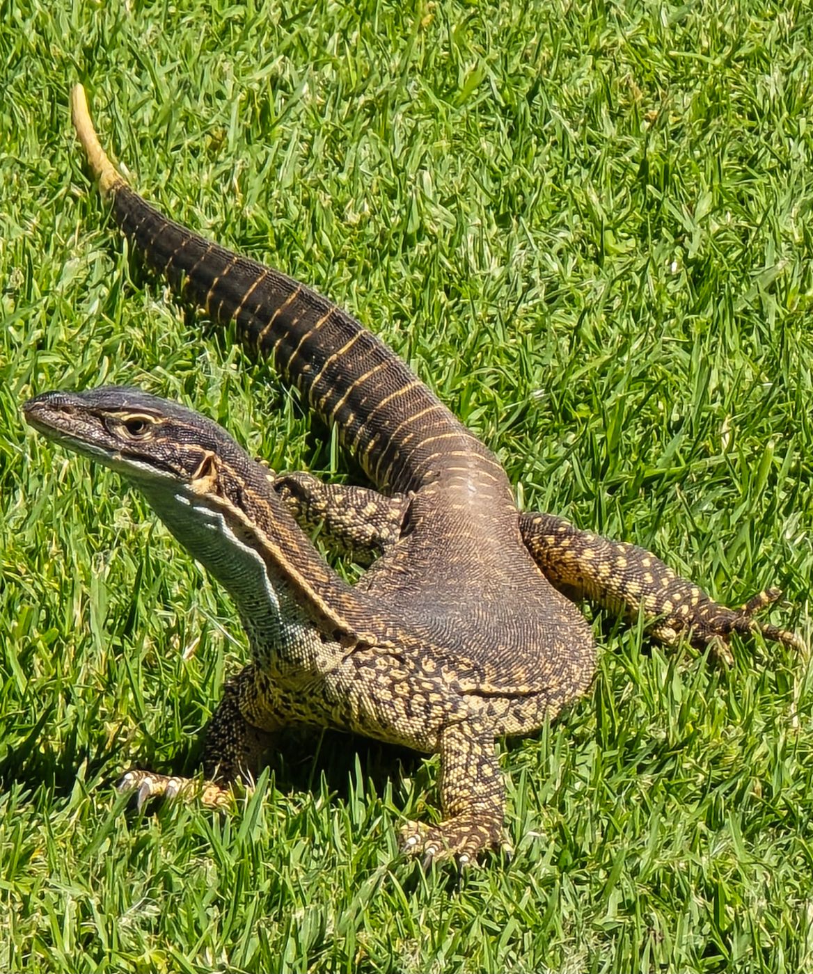 Pictures from your own personal camera roll. No memes allowed ...