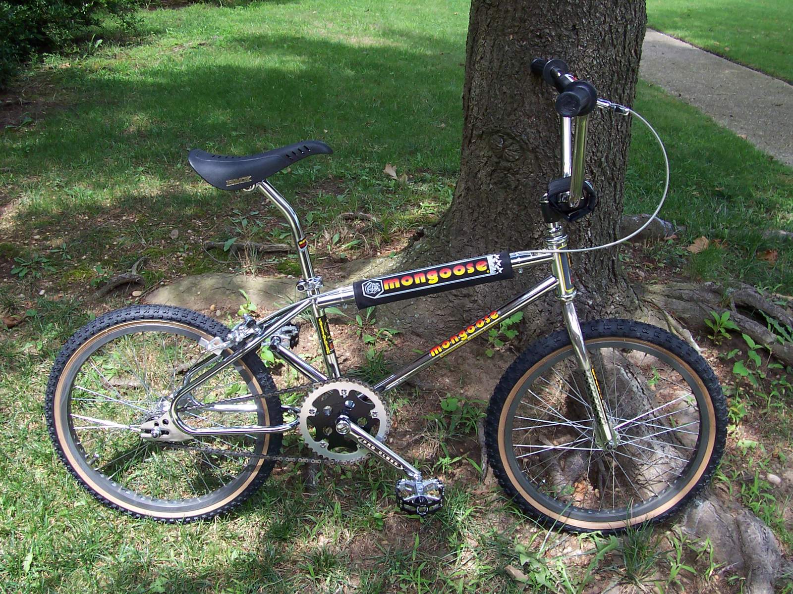 mongoose la familia frame