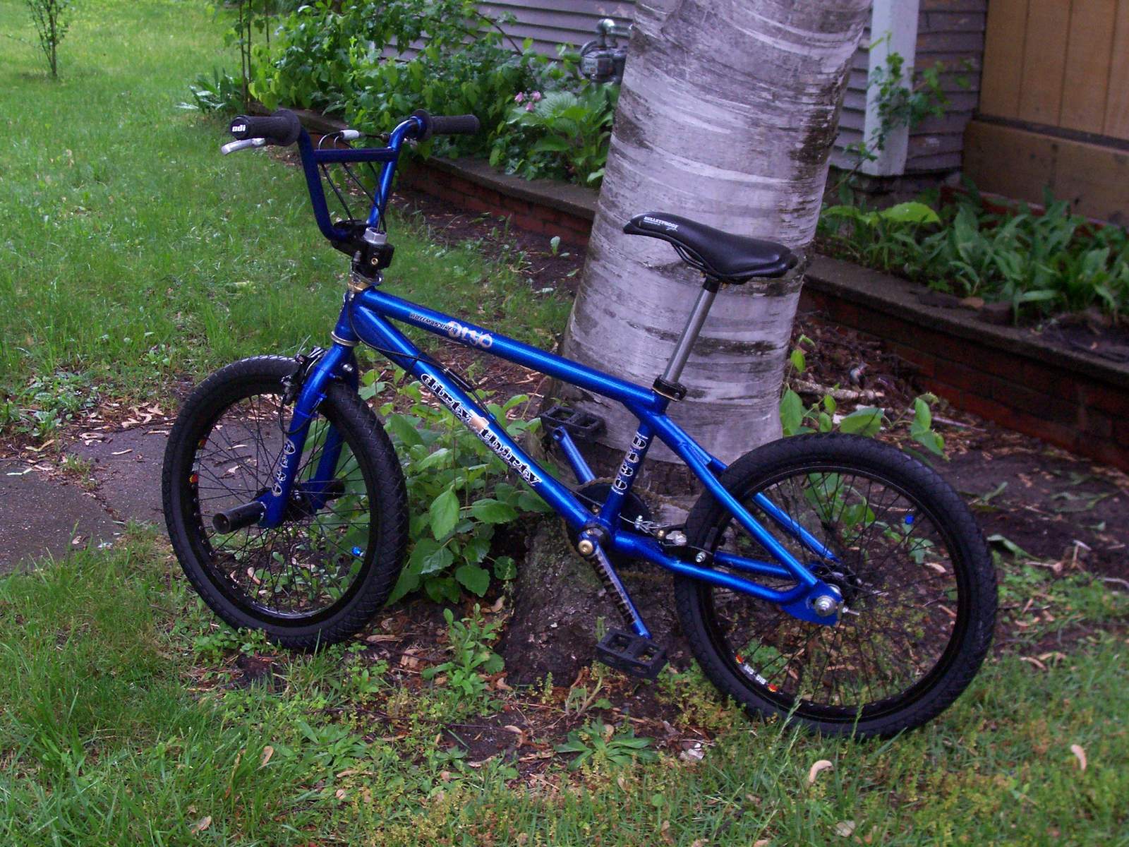 THE OFFICIAL 2017 BMX MUSEUM SPRING BO COMPLETED THREAD FREESTYLE