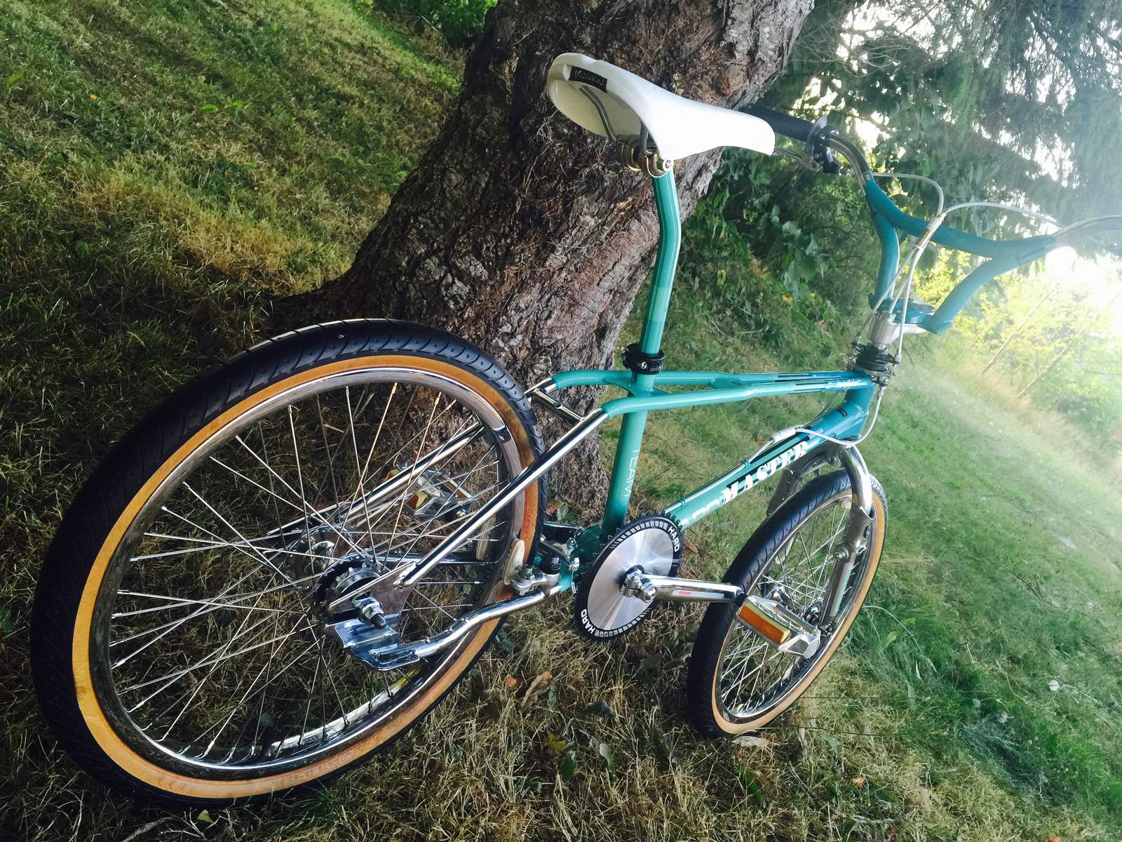 1988 HARO TEAM MASTER CATALOG BUILD Forums