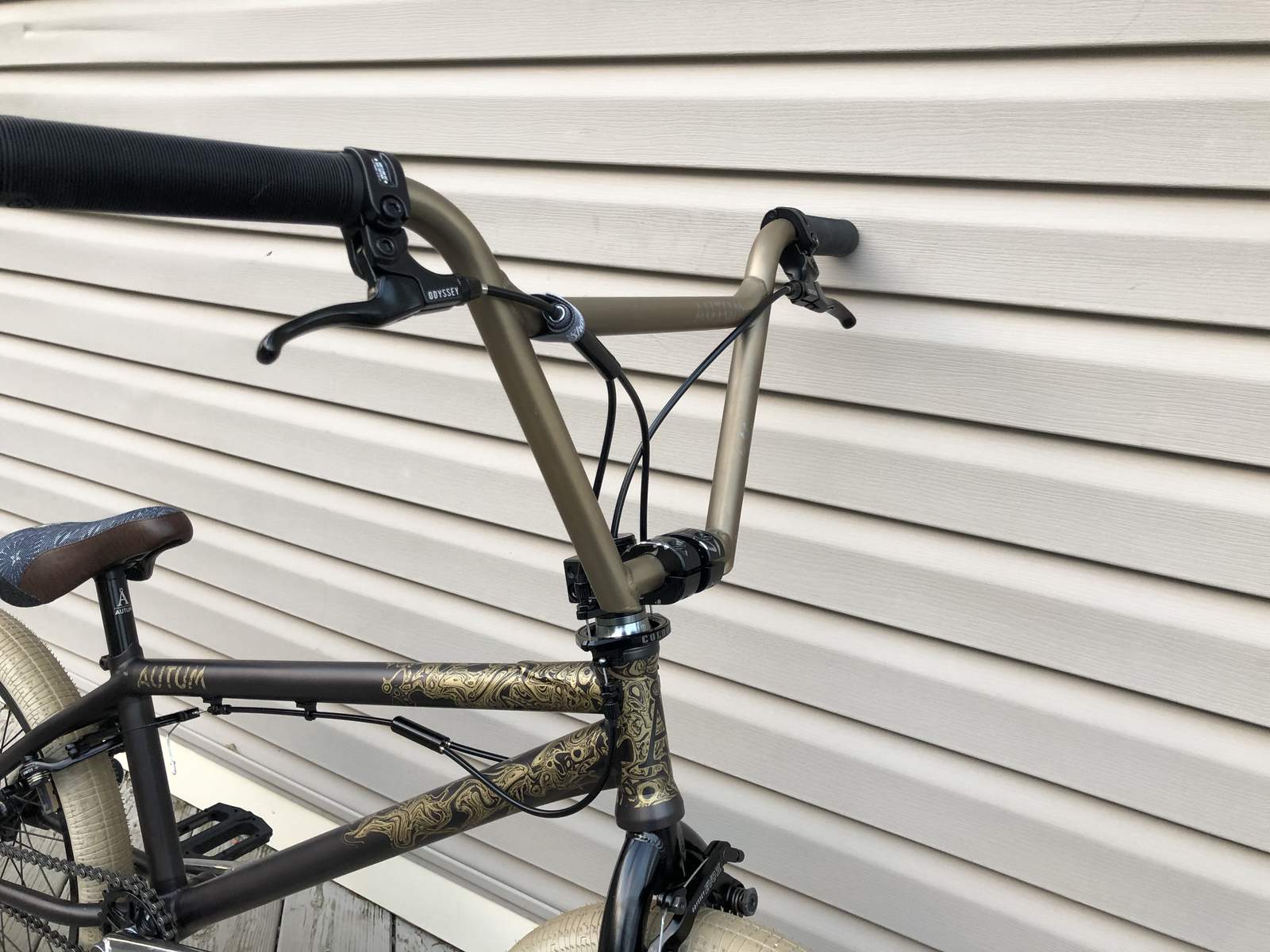 2019 Autum The Katze - BMXmuseum.com Forums