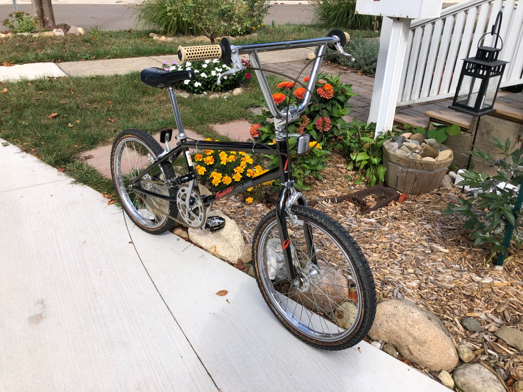 Weight Old vs. New Forums