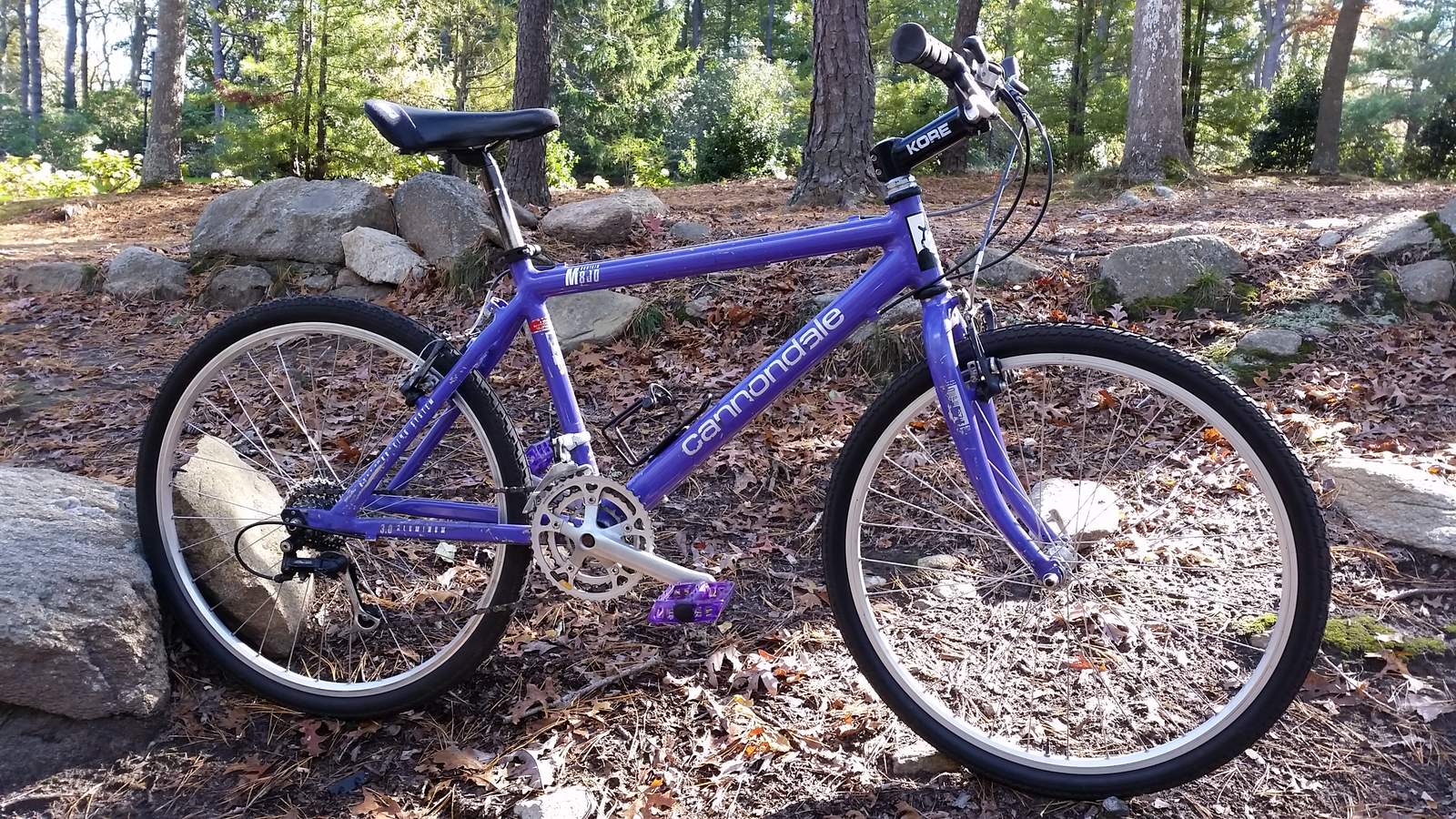 purple cannondale mountain bike