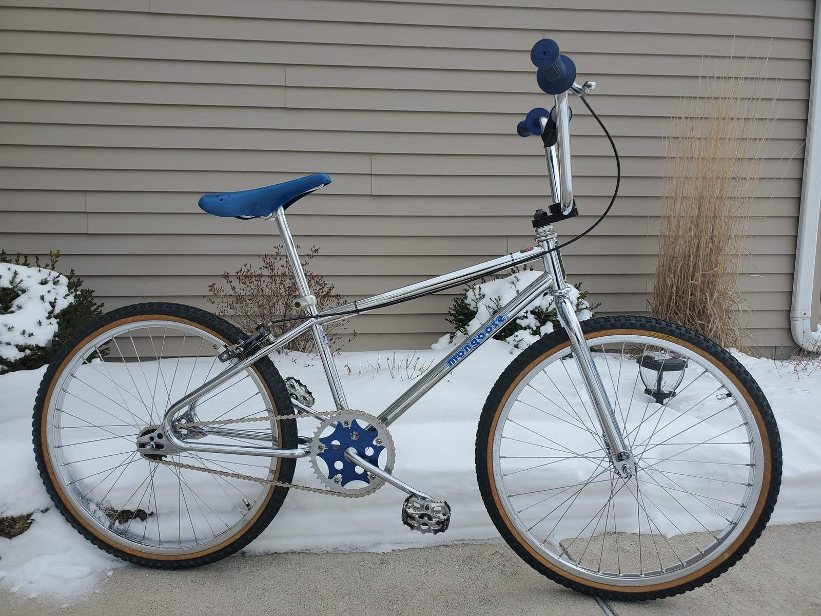 Mongoose chrysler pro