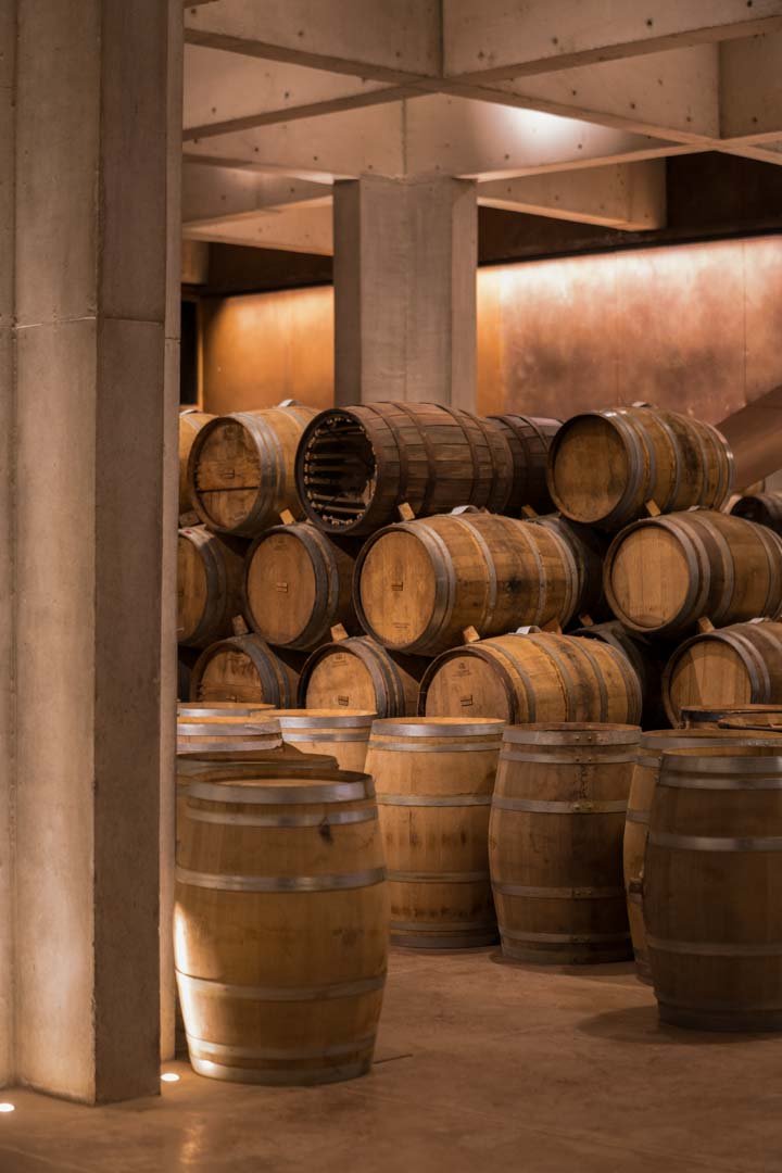 Barrels of aging tequila