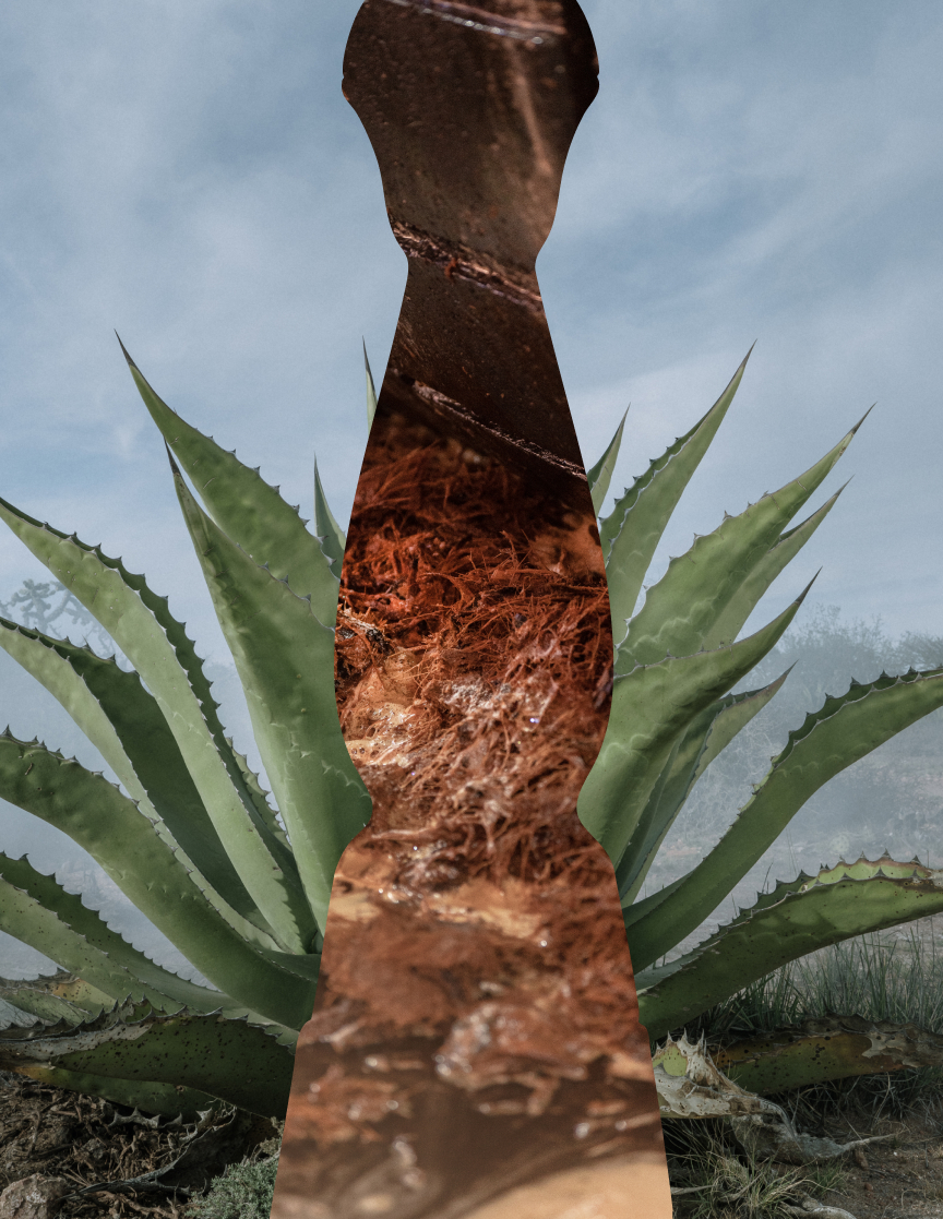 Textural, decorative image