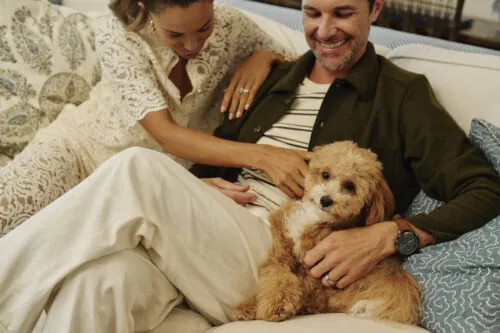 couple on their couch with a cute golden doodle puppy in their lap