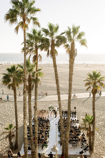 ariel shot of a wedding on the beach with palm trees
