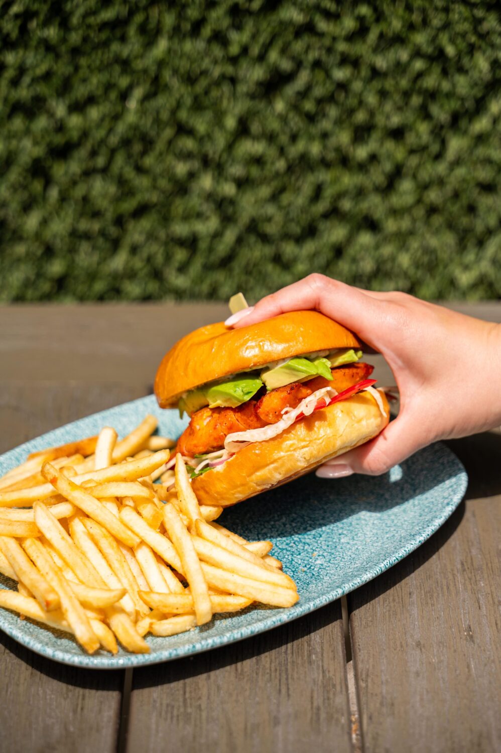 A hand holding a sandwich with toppings, served with golden French fries on a plate.