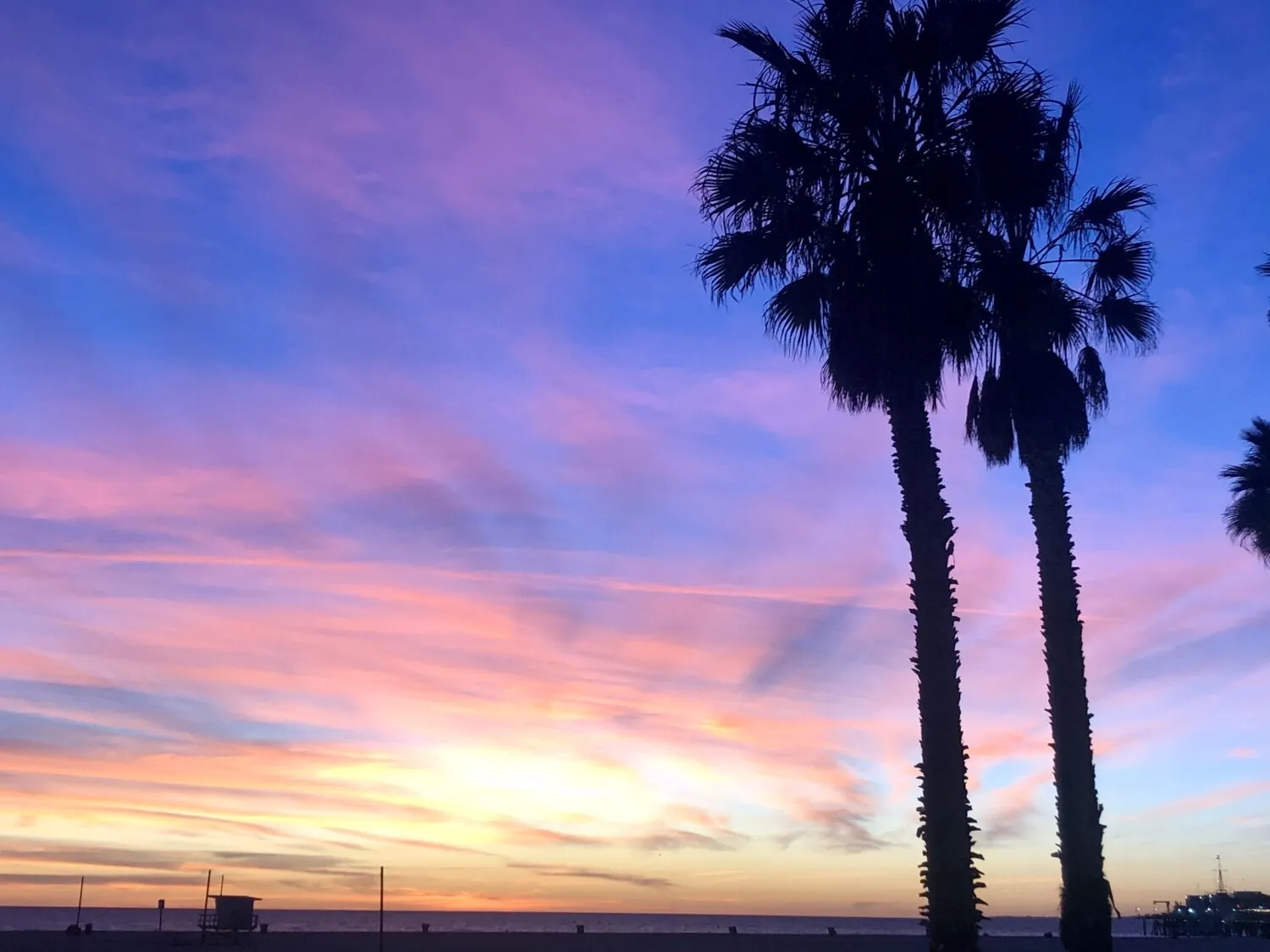 Vibrant sunset over the beach with silhouetted palm trees.