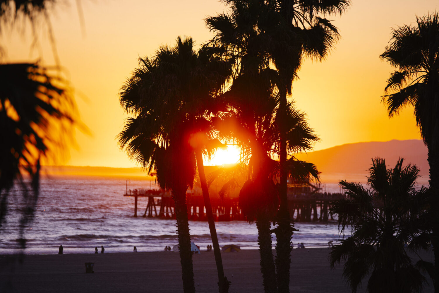 Vibrant sunset over the ocean, framed by palm trees, with a pier and silhouettes on the beach.