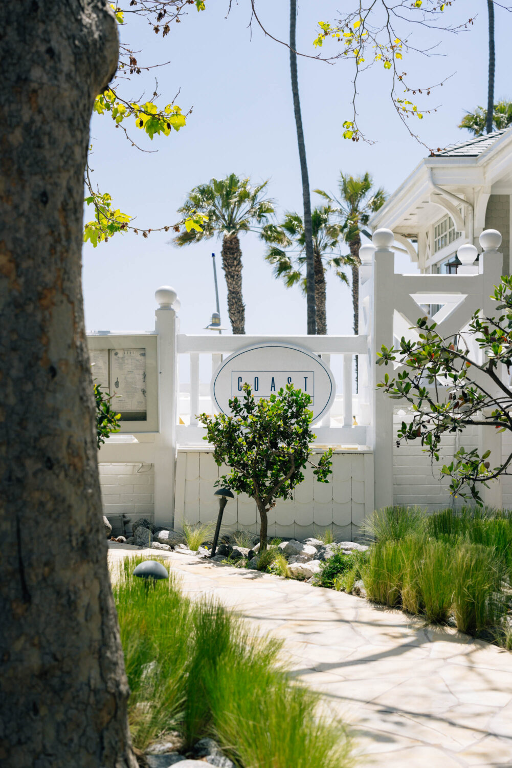 A sign with the word "COAST" on a white fence surrounded by palm trees and green plants.