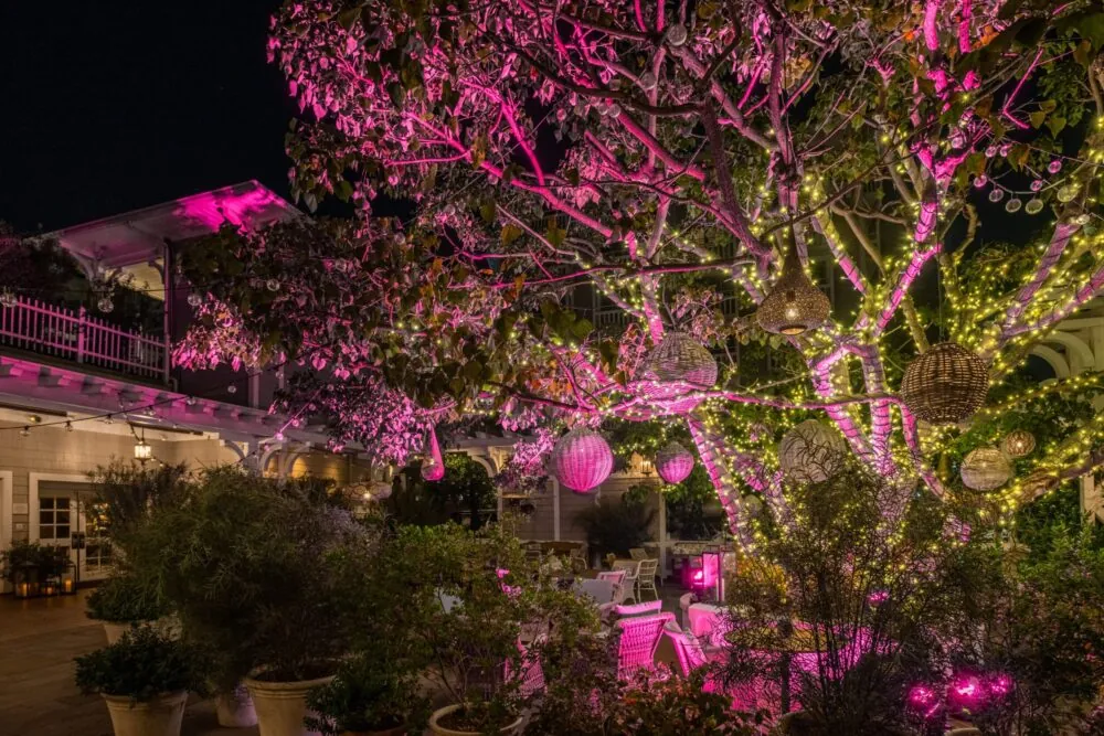A beautifully lit tree adorned with pink and yellow lights creates a festive atmosphere at night.