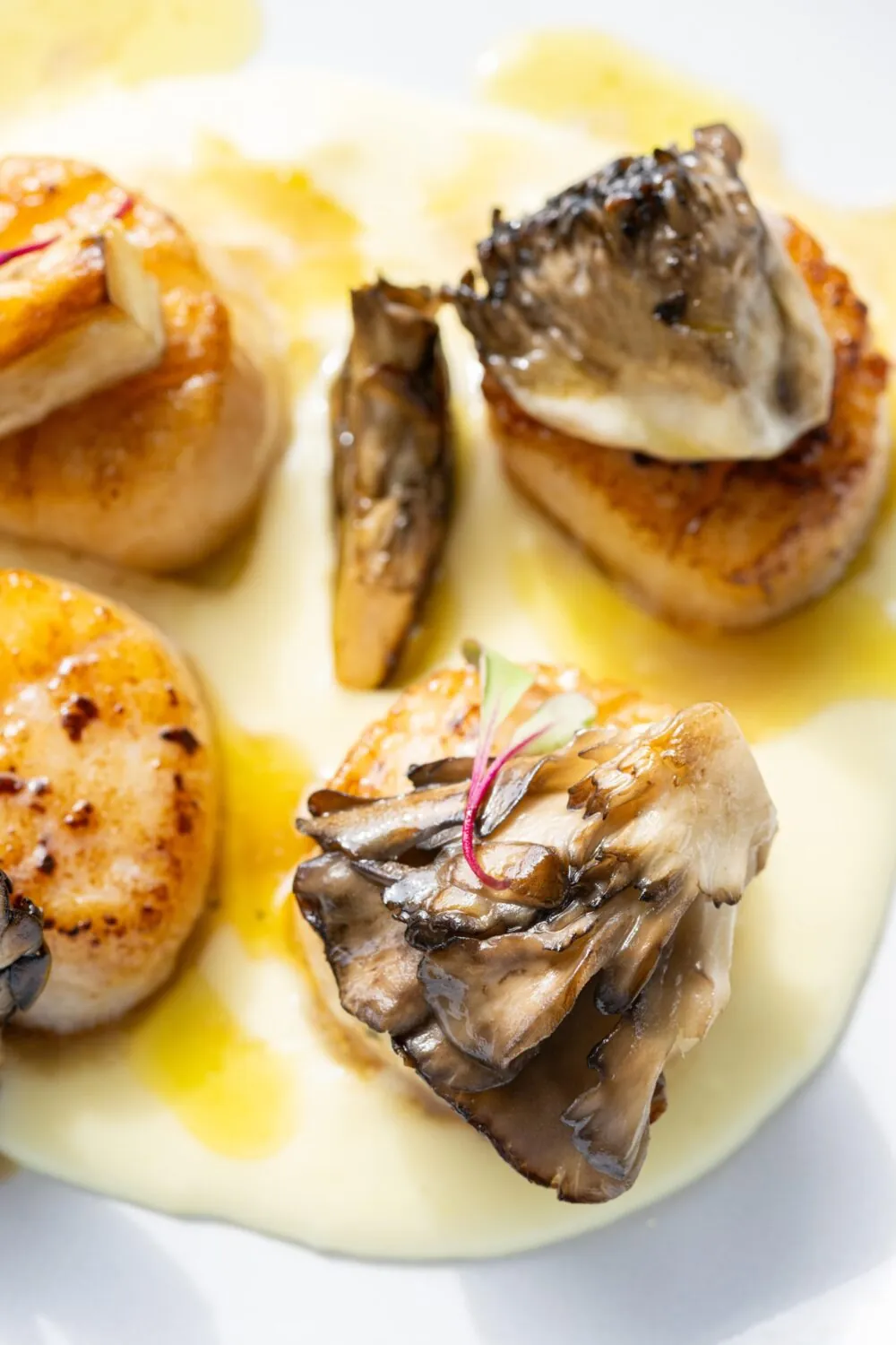 Seared scallops with mushrooms and a creamy yellow sauce, garnished with microgreens.