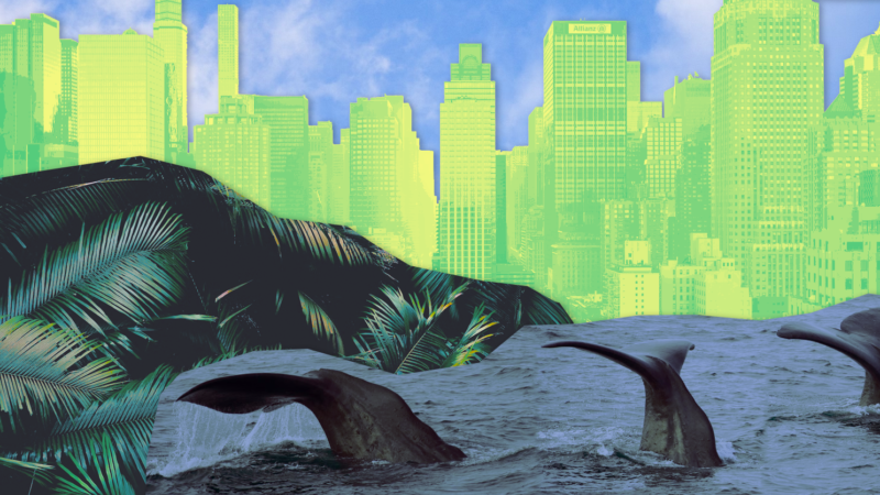 Tipping Points for Positive Transformation