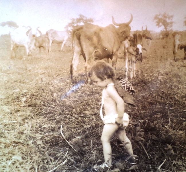 Criação com tradição-1