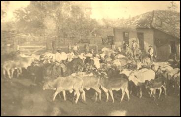 Criação com tradição-3