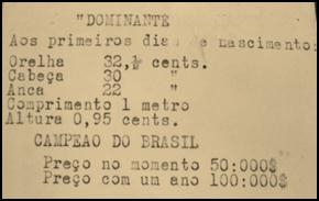 Criação com tradição-5