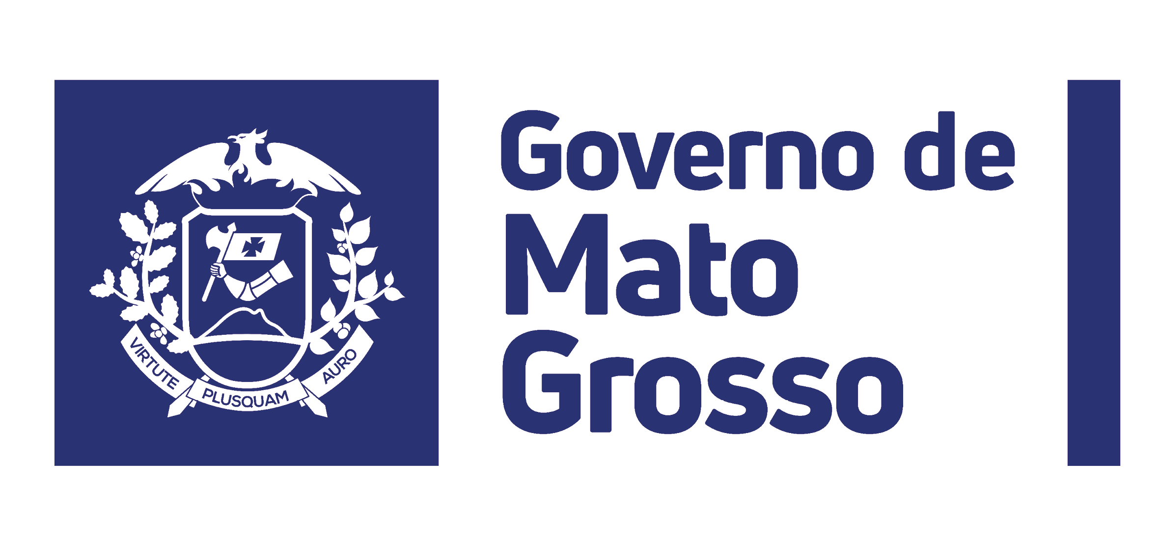 ANE_EI-MT_Regua-Logos