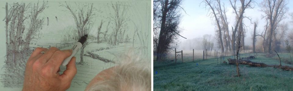 Week 6: Demonstration of a Forest Scene