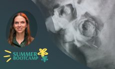 Painterly Drawing in Charcoal -Summer Bootcamp 2025