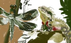 Dynamic Sketching Draw-Along Live Class