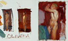 Color Harmony in the Figure