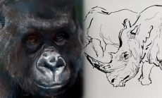 Animal Rendering: Drawing and Painting Studies Live Class