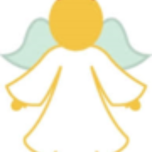 Angel Health Care Providers