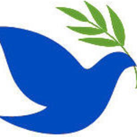 St. John's Health Care PC