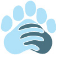 Bear Medical Staffing Inc.