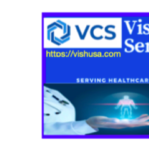 Vish Consulting Services, Inc