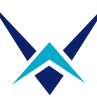 Warbird Consulting Partners