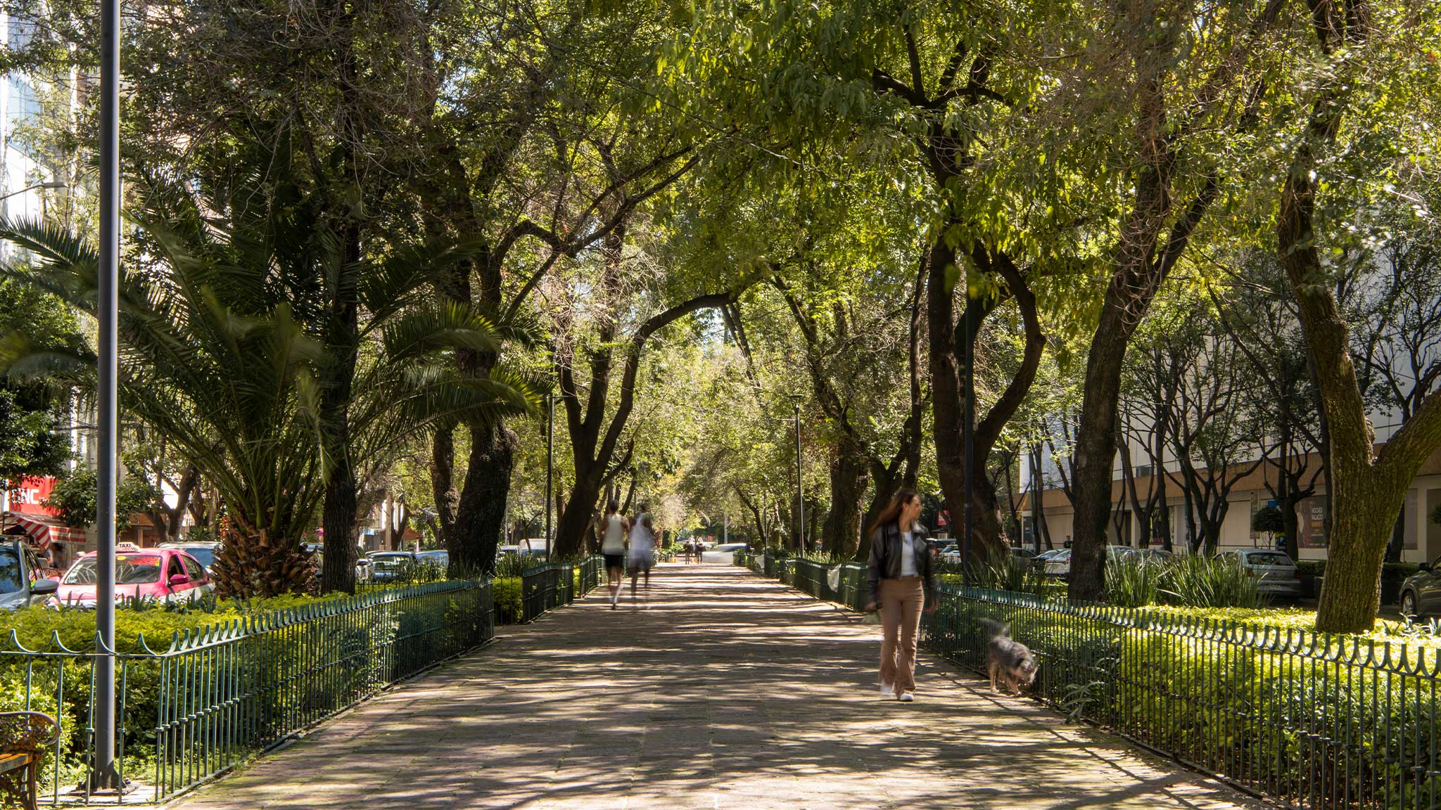 A park with walking paths near Pendry Residences Mexico City.